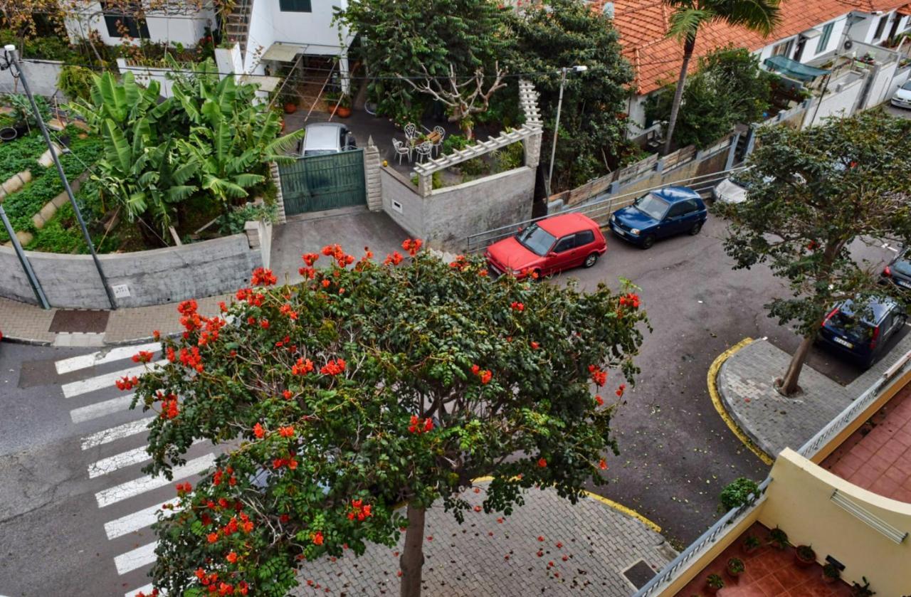 Perola, A Home In Madeira Funchal  Exteriér fotografie